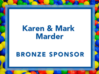 Platinum Sponsors & Champions (13)