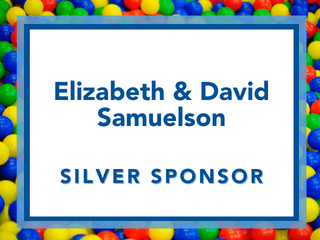 Silver Sponsors (5)